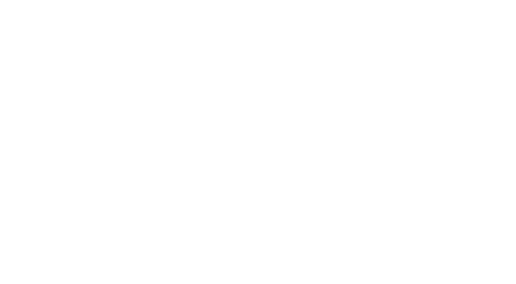 ZNS